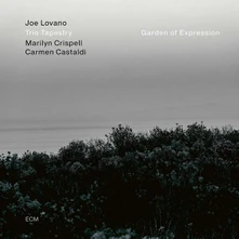 Vinyl TRIO TAPE... - GARDEN OF EXPRESSION