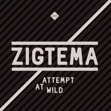 Ž.A.S., CD ATTEMPT AT WILD