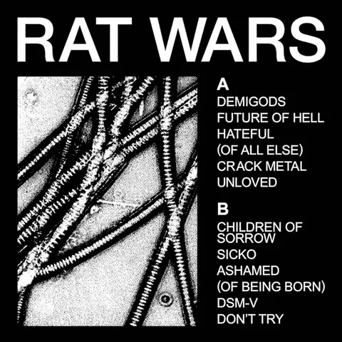 RAT WARS