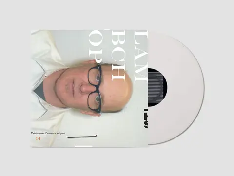 Lambchop – Vinyl THIS (IS WHAT I WANTED TO TELL YOU)