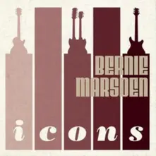 ICONS thumbnail