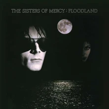 Vinyl FLOODLAND