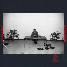 Interpol, Vinyl MARAUDER