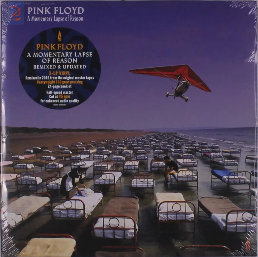 A MOMENTARY LAPSE OF REASON