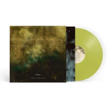 Vinyl SURFACE, ECHO AND SOUND