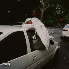 Negro Swan thumbnail