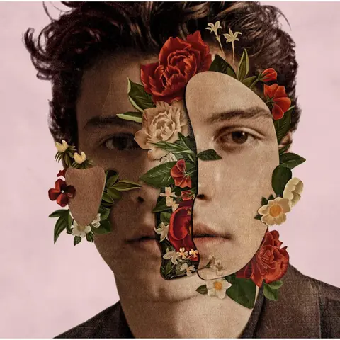 SHAWN MENDES