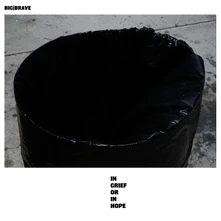Vinyl IN GRIEF OR IN HOPE