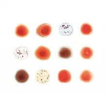 Peter Gabriel – SCRATCH MY BACK / AND I'LL SCRATCH YOURS (CD)