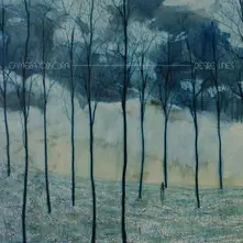 Camera Obscura, CD DESIRE LINES