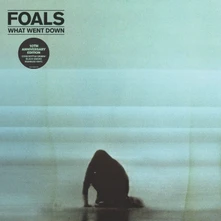 Foals, Vinyl WHAT WENT DOWN