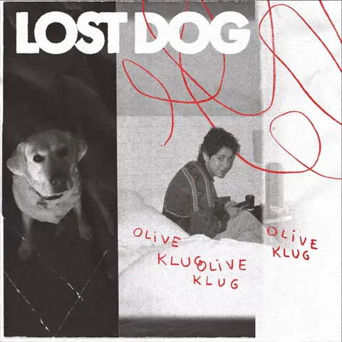 LOST DOG