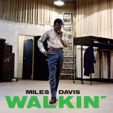 Vinyl WALKIN'