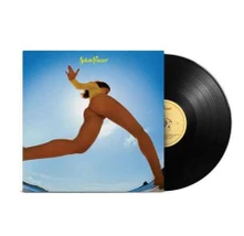 Vinyl SOLAR POWER