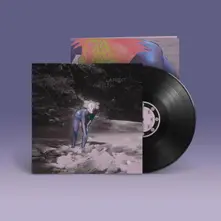 Vinyl FASE LUNA