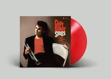 Vinyl SINGS IT COULD HAPPEN TO YOU