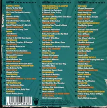 Various Artists – I SHALL BE RELEASED - COVERS OF BOB DYLAN 1963-1970 (CD)