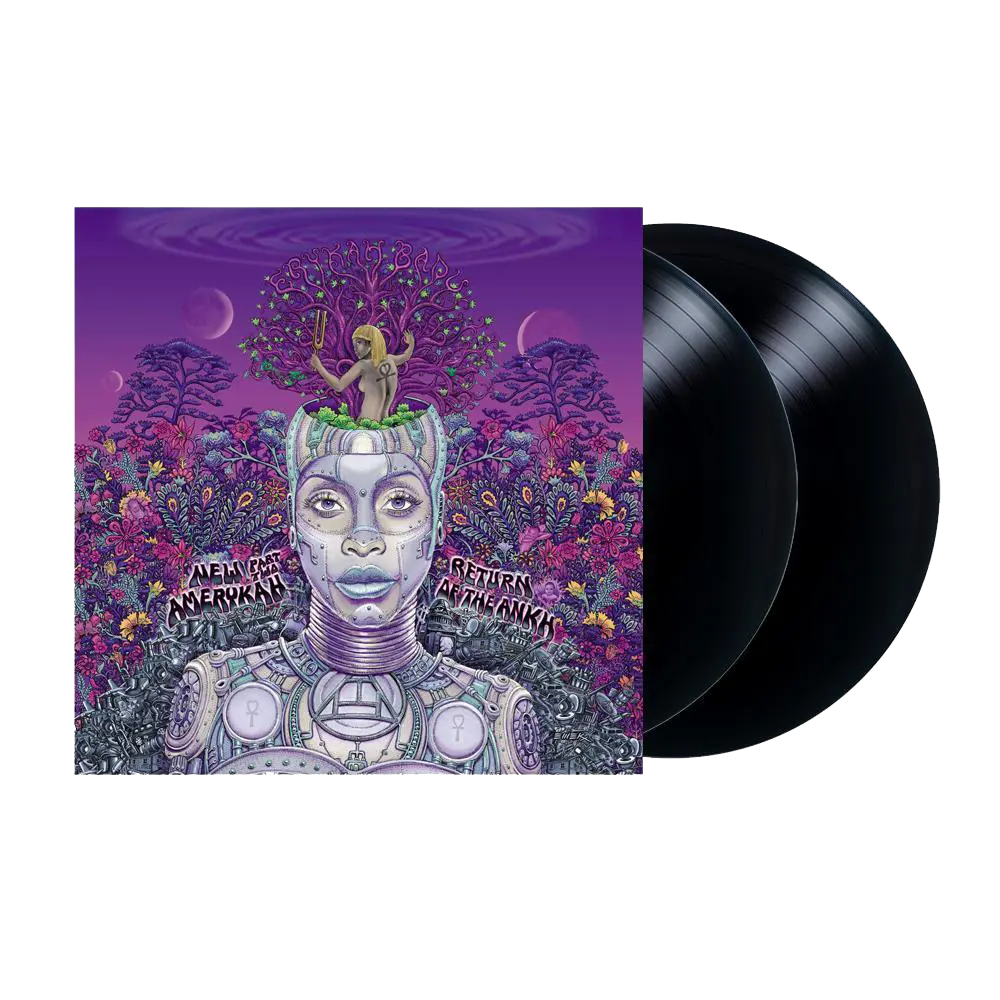 Erykah Badu – New Amerykah Part Two (Return of the Ankh) (Vinyl)