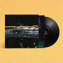 Gilla Band, Vinyl PUGNELLO