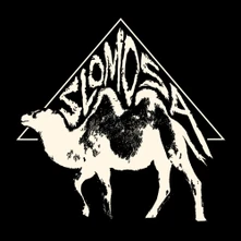 Vinyl SLOMOSA