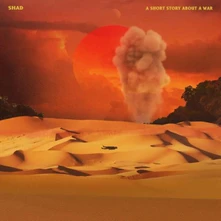 Vinyl A SHORT STORY ABOUT A WAR
