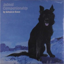 Advance Base, Vinyl ANIMAL COMPANIONSHIP
