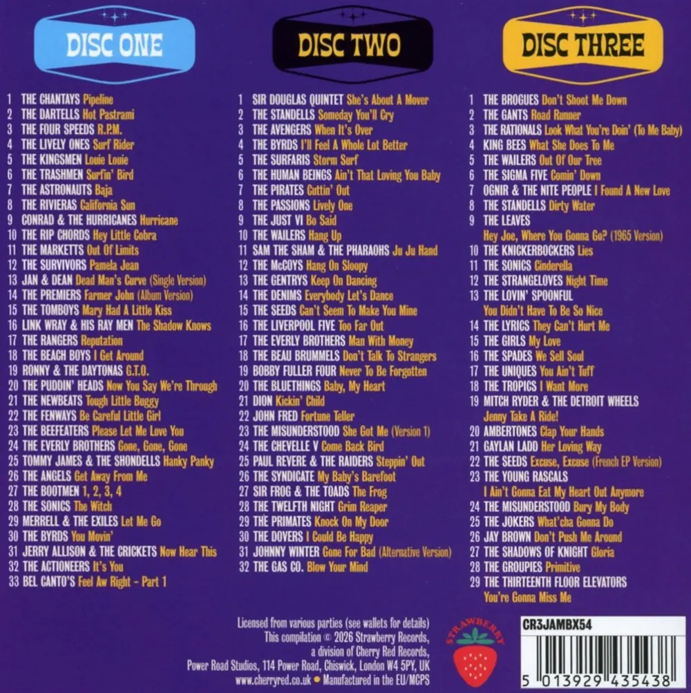 V/A - STEPPIN' OUT - THE ROOTS OF GARAGE ROCK 1963-1965