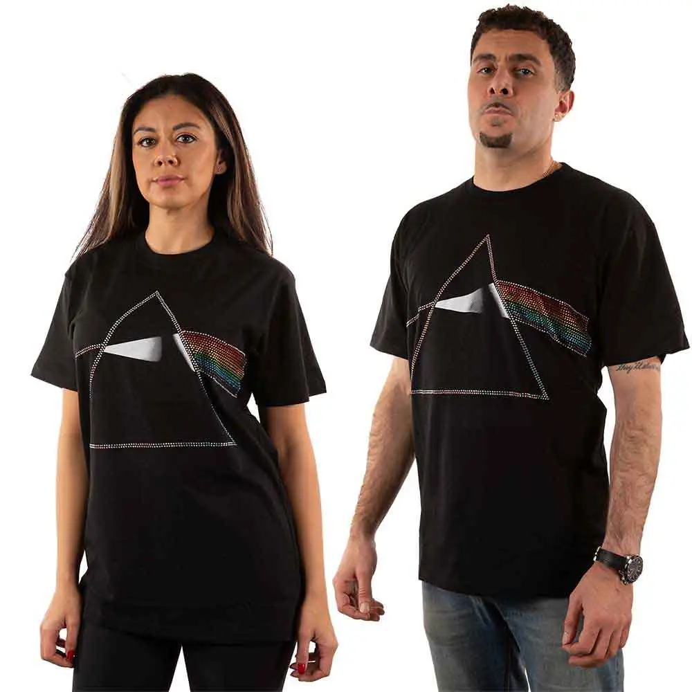 Dark Side of the Moon
