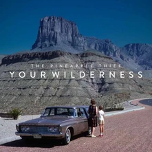CD YOUR WILDERNESS