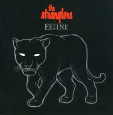 CD Feline