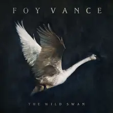 Foy Vance, Vinyl THE WILD SWAN