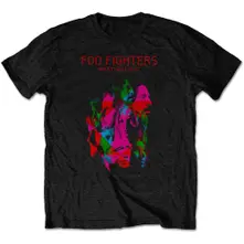 Wasting Light thumbnail