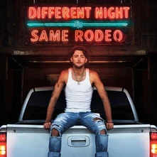 Vinyl DIFFERENT NIGHT SAME RODEO