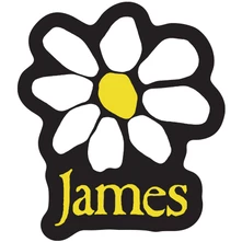 Nálepka Sticker: Yellow Logo White Daisy