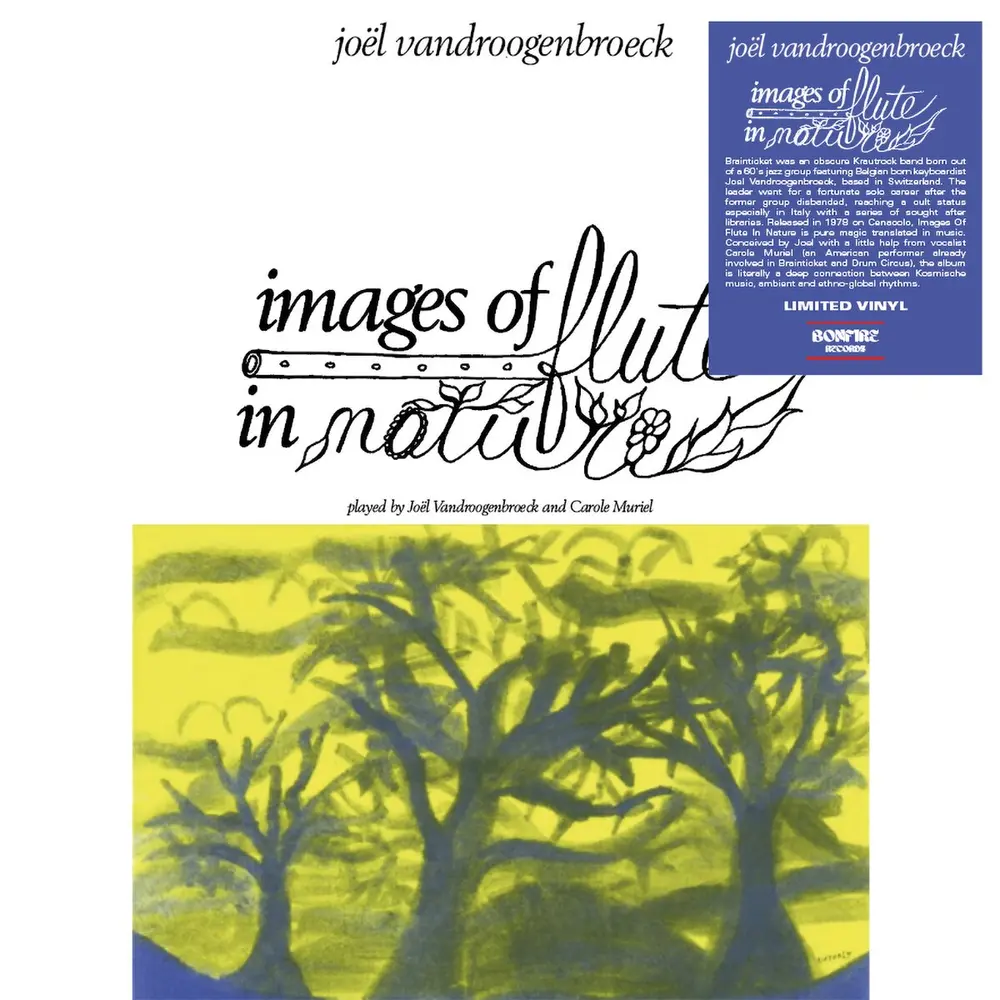 Joël Vandroogenbroeck – Vandroogenbroeck, Joel - Images of Flute In Nature (Vinyl)