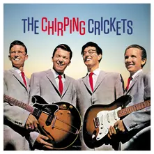 THE CHIRPING CRICKETS thumbnail