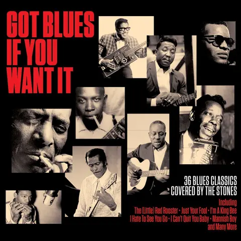 Various Artists – CD GOT BLUES IF YOU WANT IT