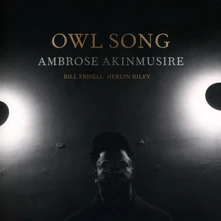CD AKINMUSIRE, AMBROSE - OWL SONG (FEAT. BILL FRISELL & HERLIN RILEY)