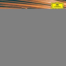 Christian Löffler, CD PARALLELS: SHELLAC REWORKS