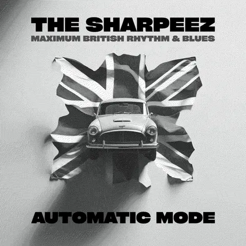 AUTOMATIC MODE
