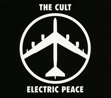 Vinyl ELECTRIC PEACE