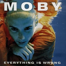 CD Everything is Wrong