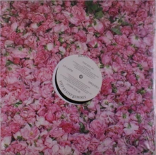 Braxe + Falcon, Vinyl Braxe + Falcon - Step By Step Remixes