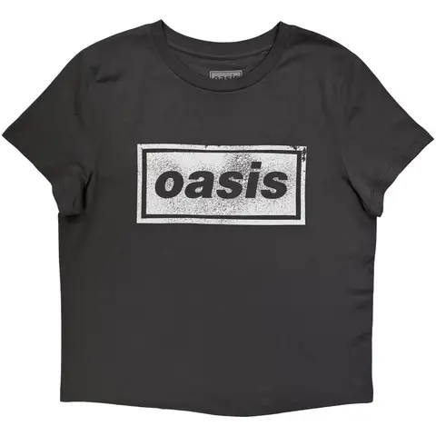 Ladies T-Shirt: Paint Logo (Charcoal Grey) (Ex-Tour)