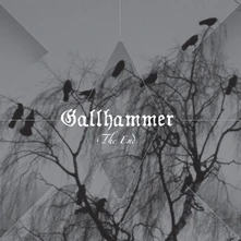 Gallhammer, Vinyl THE END