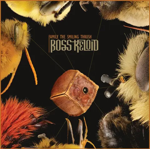 Boss Keloid – Vinyl FAMILY THE SMILING THRUSH
