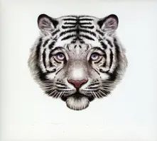 Bearsuit – PHANTOM FOREST (CD)