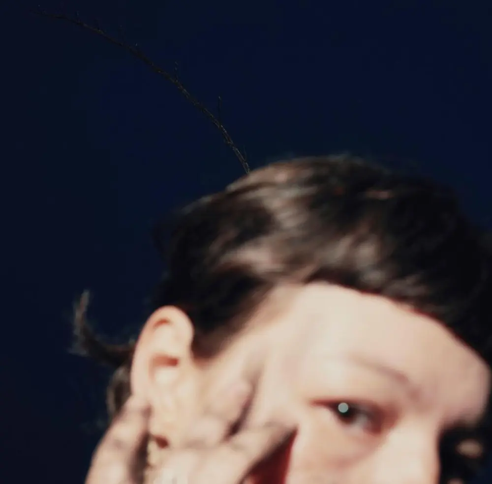 HORIZONT (Vinyl)