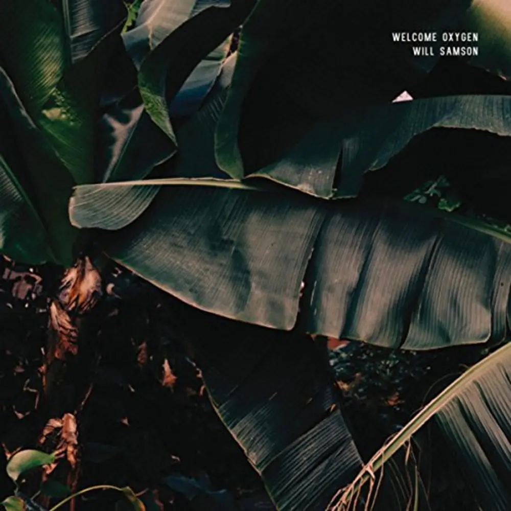 Will Samson – WELCOME OXYGEN (Vinyl)