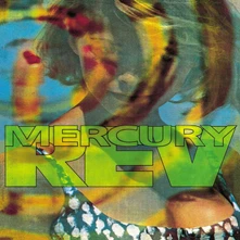 Mercury Rev, Vinyl YOURSELF IS STEAM + CAR WASH HAIR